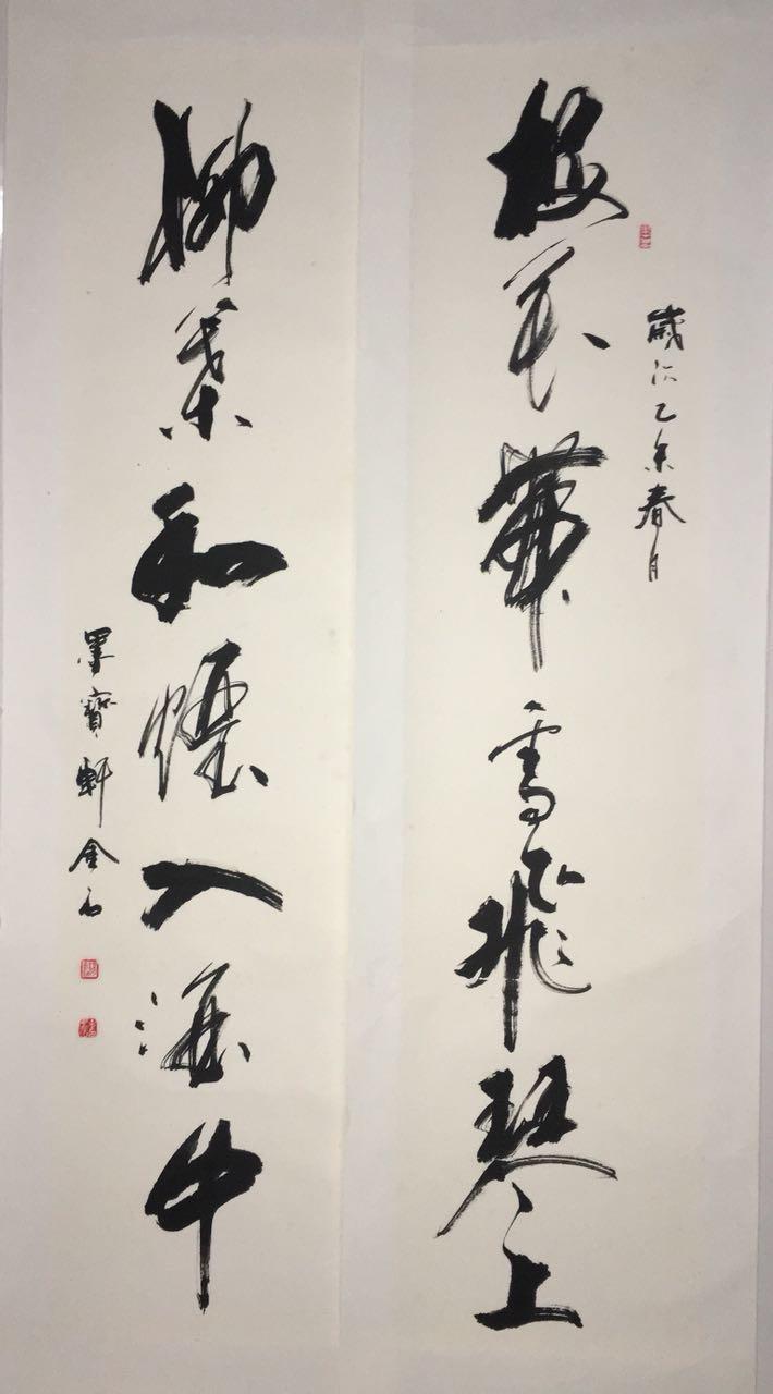 杨金印先生书法作品欣赏