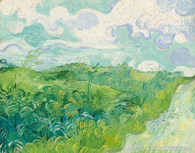 green wheat fields, auvers, 1890 梵高的风景画多数是明媚的,翻滚的