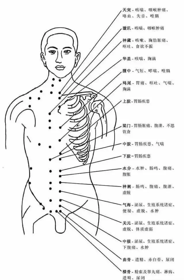 胸部腹部穴位图及作用功效承浆穴的作用:治疗糖尿病,颜面病,牙痛,不语