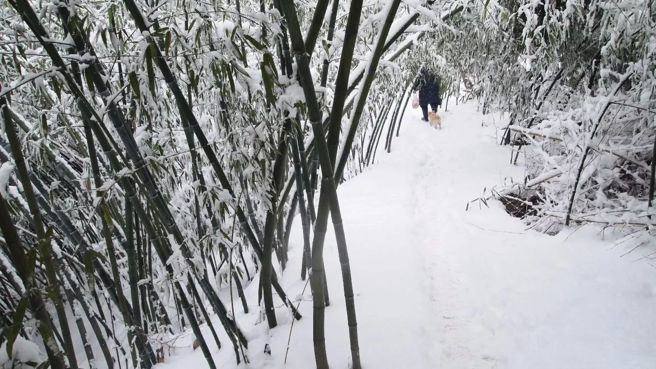 终南山雪