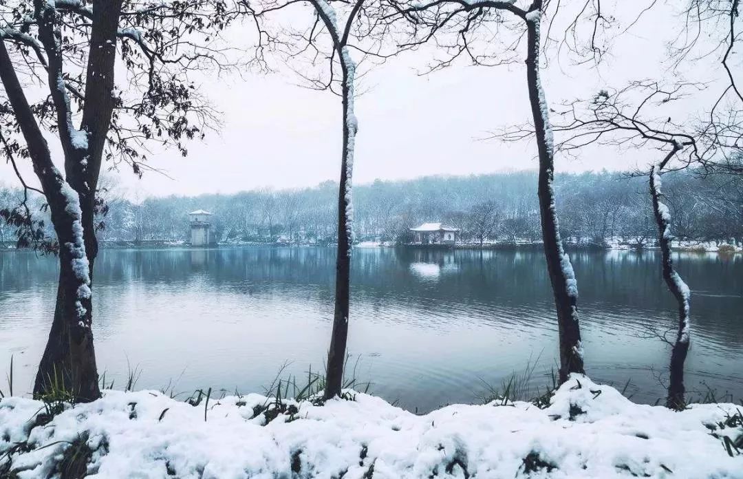 中国一场薄雪不成敬意