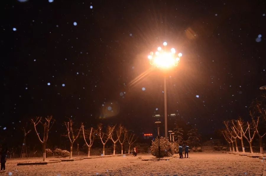 鱼台晚上的雪景也美丽,快来赏雪