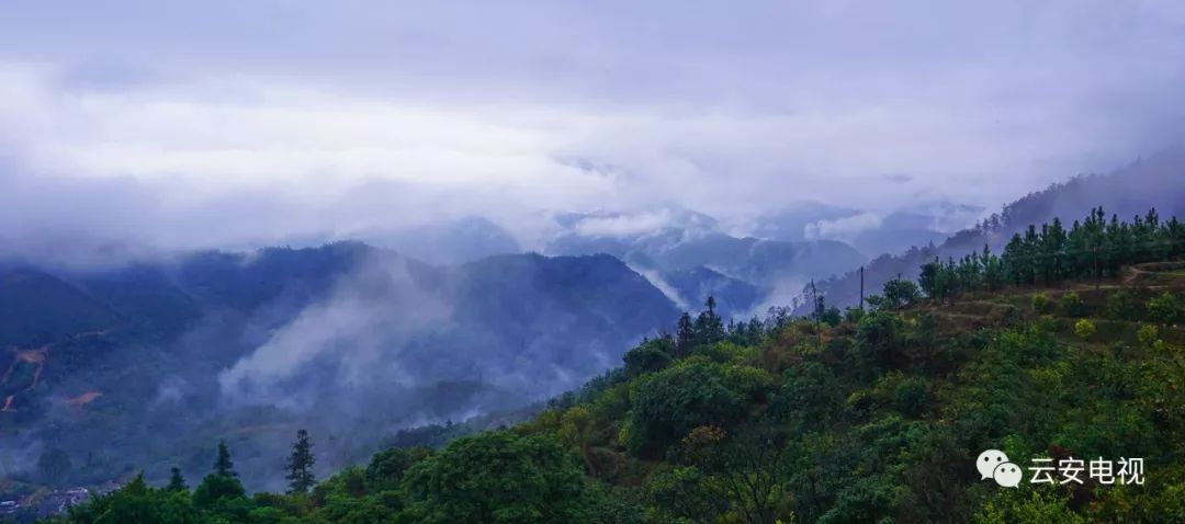 云浮湿冷天气云浮近百名文艺家勇攀云雾山