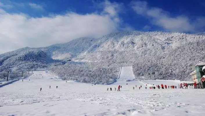 想去西岭雪山滑雪的已经可以出发了,据说景区开放了夜间滑雪场,让你