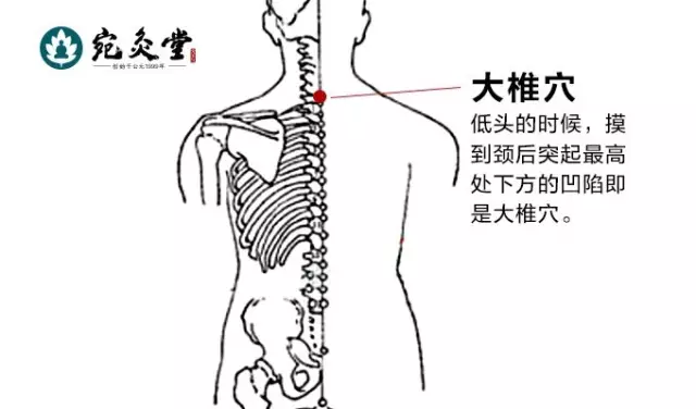 脐疗的原理_脐疗的作用和功效 脐疗到底作用原理是什么