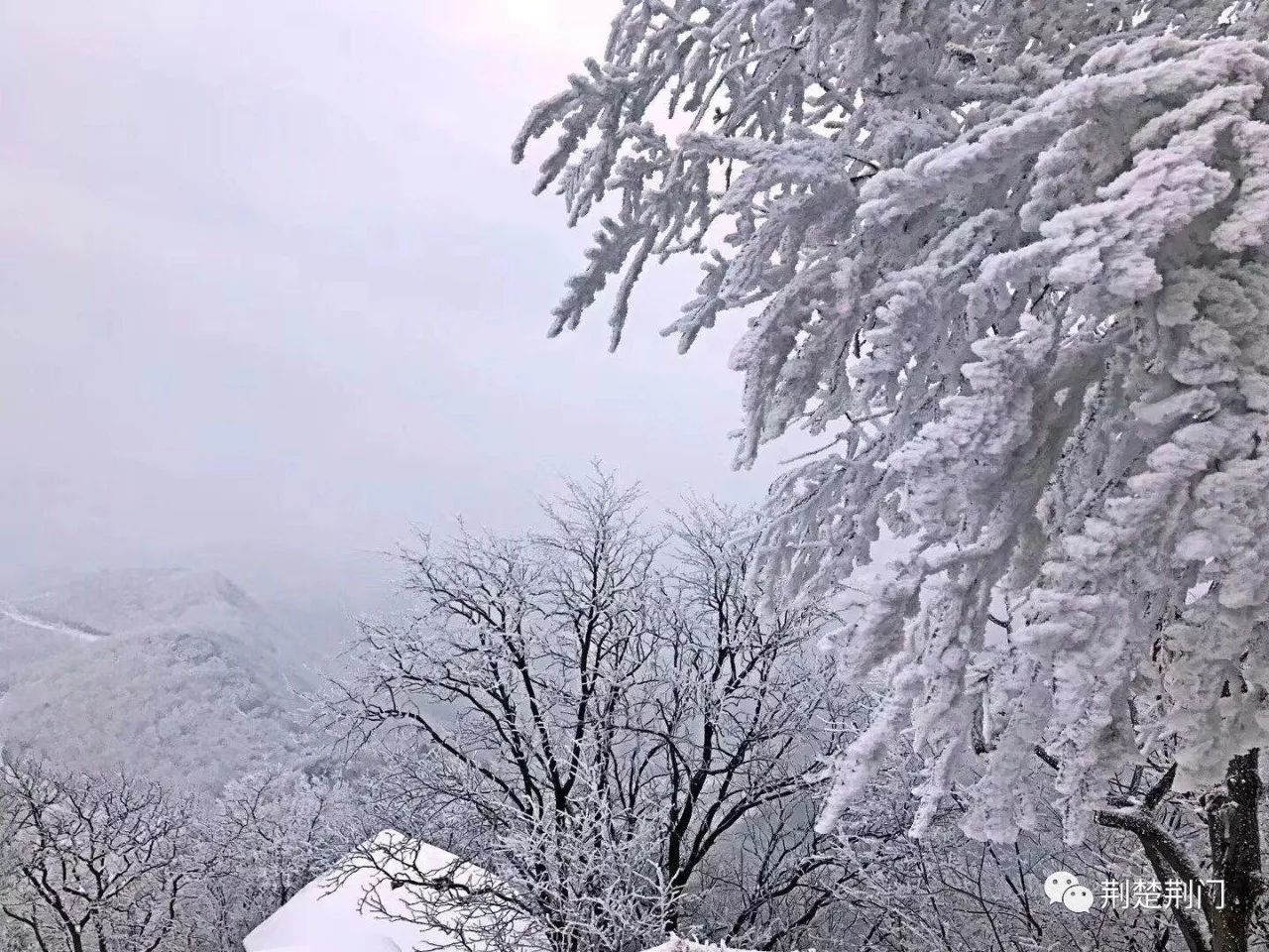 大雪后的荆门圣境山,看一眼,惊艳一年!