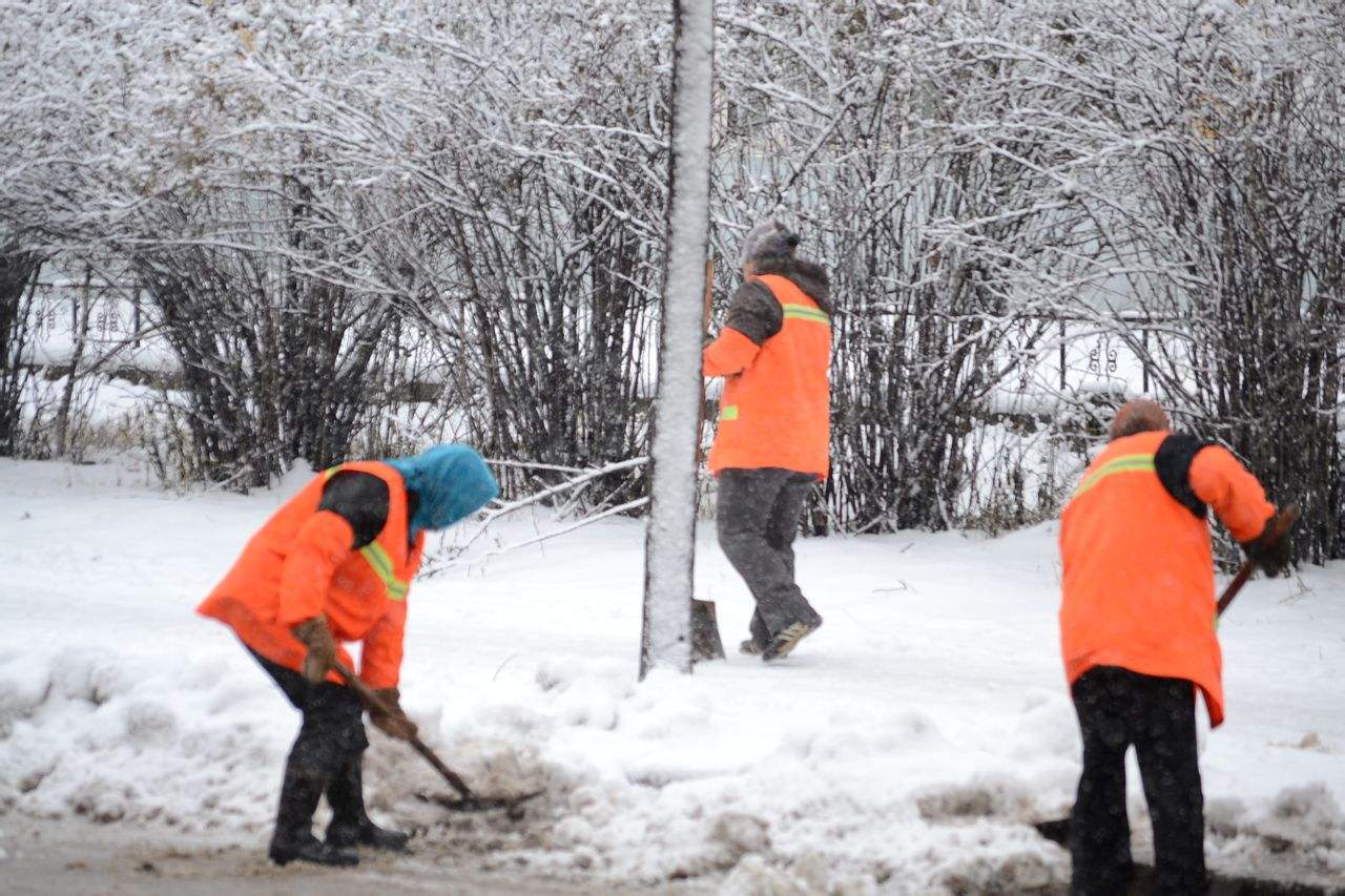 致敬那些在寒风冰雪中依然坚守的人儿