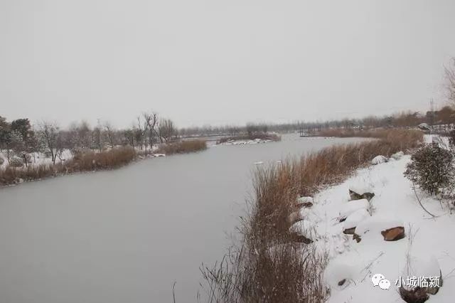 临颍县千亩湖(黄龙湿地公园)雪后景色,雪后更漂亮!