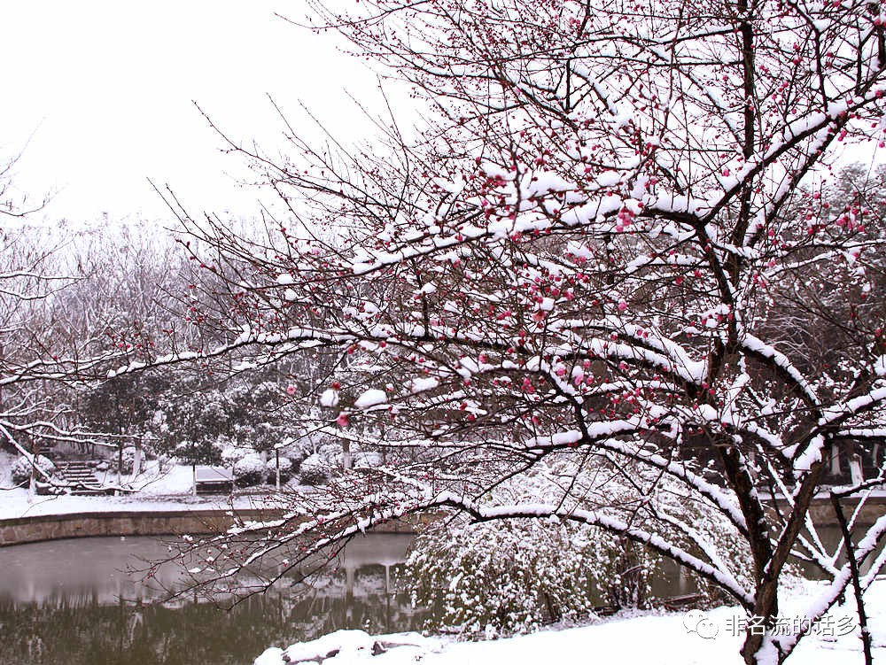 【挖古】土话解读古诗《雪梅》等