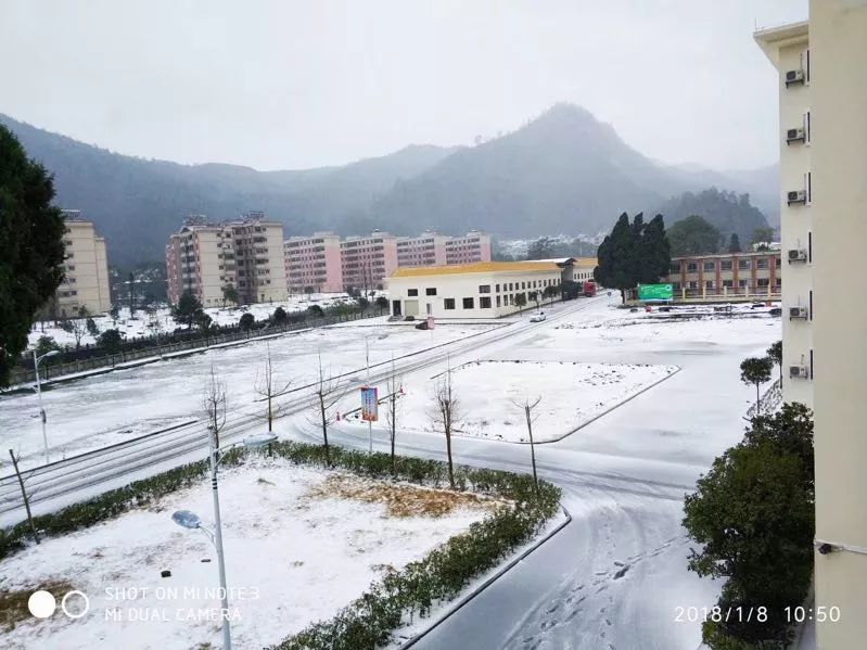 韶关下雪了,乐昌也下下下下雪了!一群南方孩子乐呼呼!