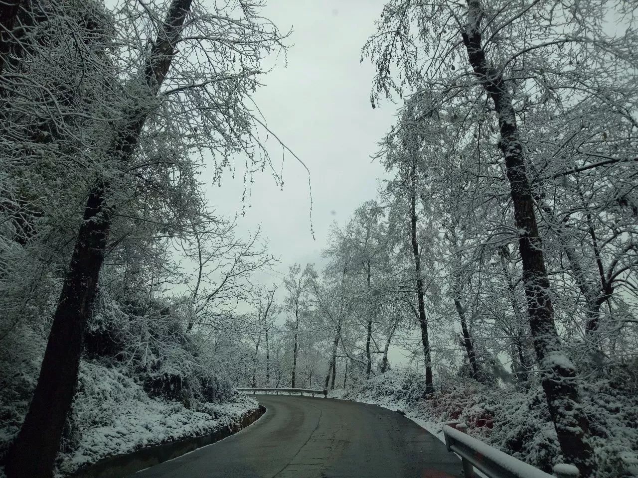 你觉得呢?川内最美雪景据说光雾山已经承包了