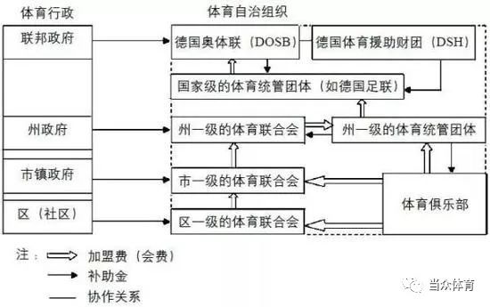 体育人口特征_全球人口分布特征