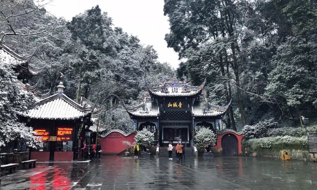 分享成都美不胜收的雪景你的朋友圈必火