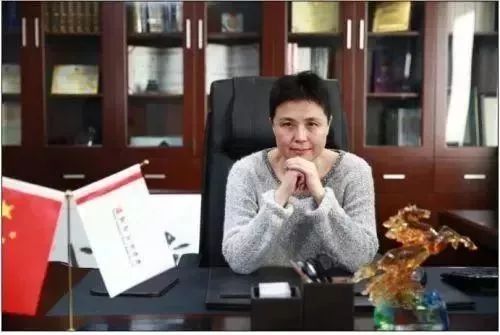 李莉联合建银文化,上演了一出罢免李明遗孀金燕的小马奔腾董事长职务