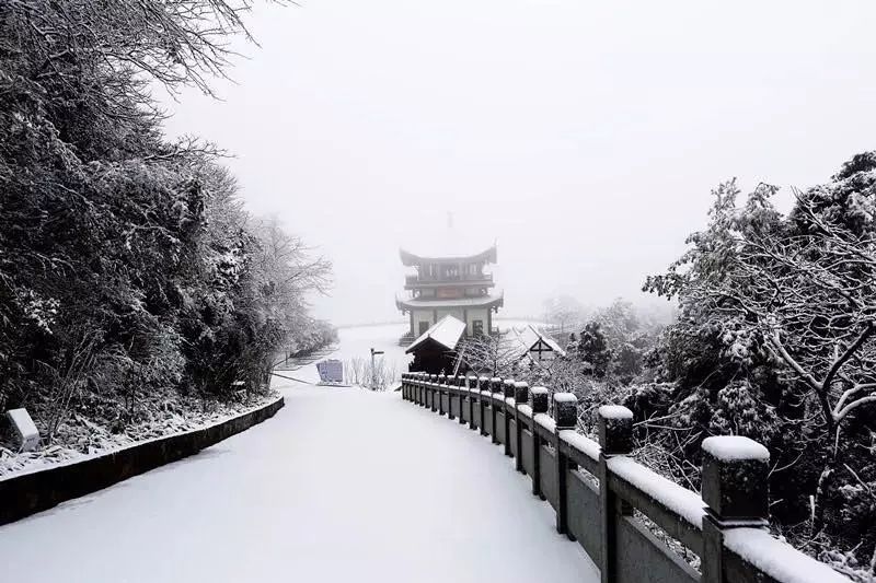 涪陵部分地区普降大雪, 最近几天, 已经有很多人去欣赏过雪景了