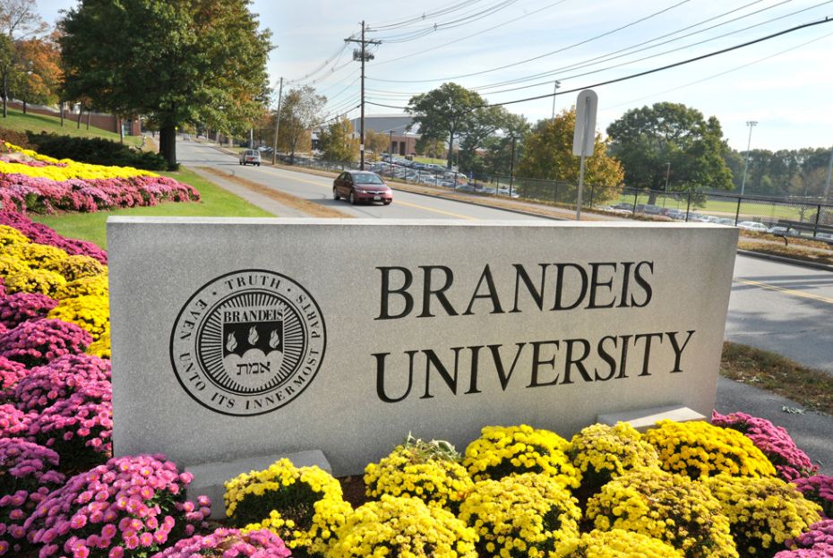 3. brandeis university 布兰迪斯大学