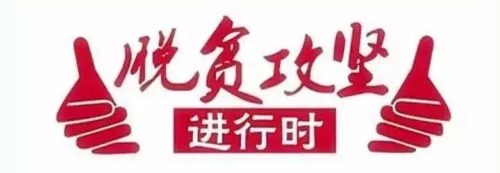 ""这只孔雀编的惟妙惟肖,我想学学!