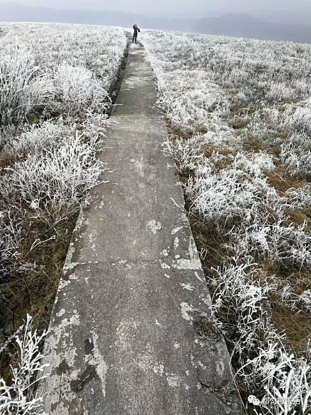 下雪了都匀螺蛳壳美翻啦