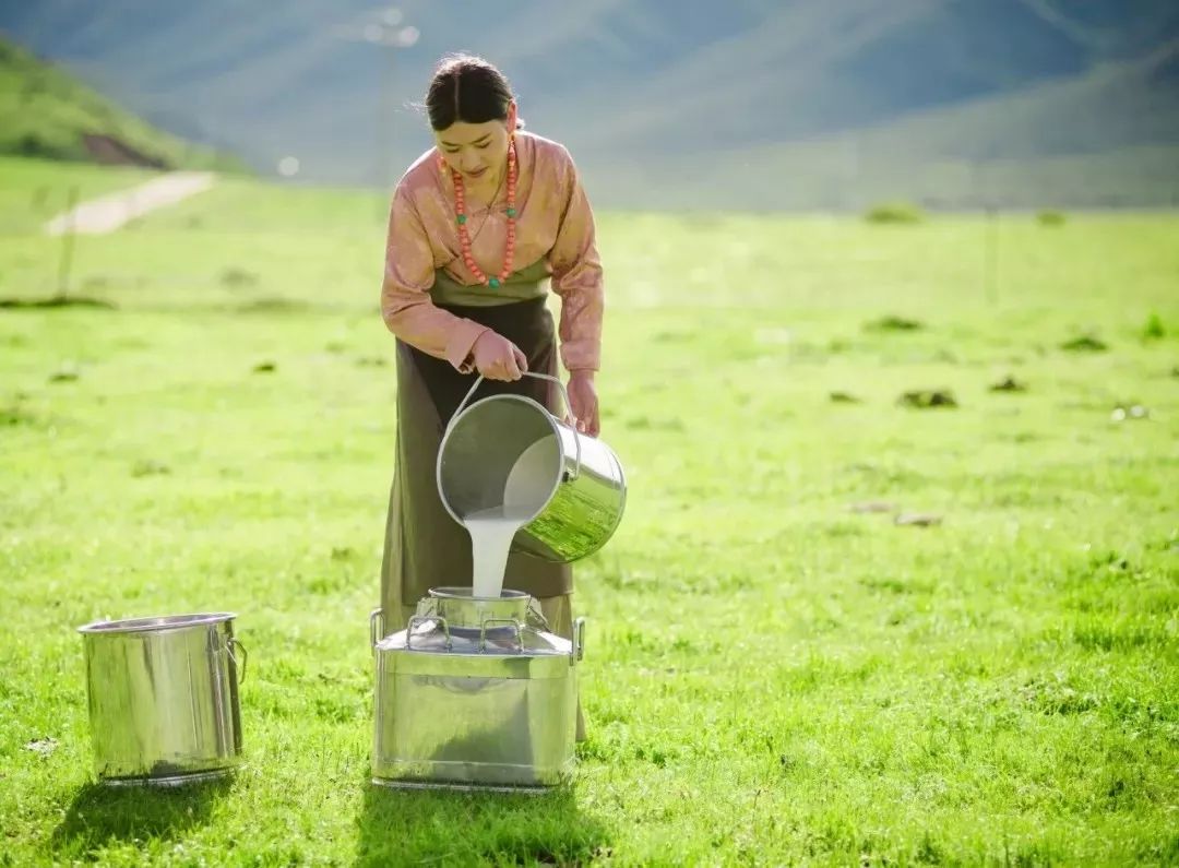 穿着制服的年轻挤奶女工坐在椅子上，把奶牛挤进桶里。“牛奶和奶农农业产品插画图片素材_ID:401674442-Veer图库