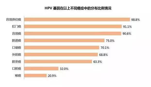 hpv相关癌症,除了宫颈癌你还需要知道哪些?