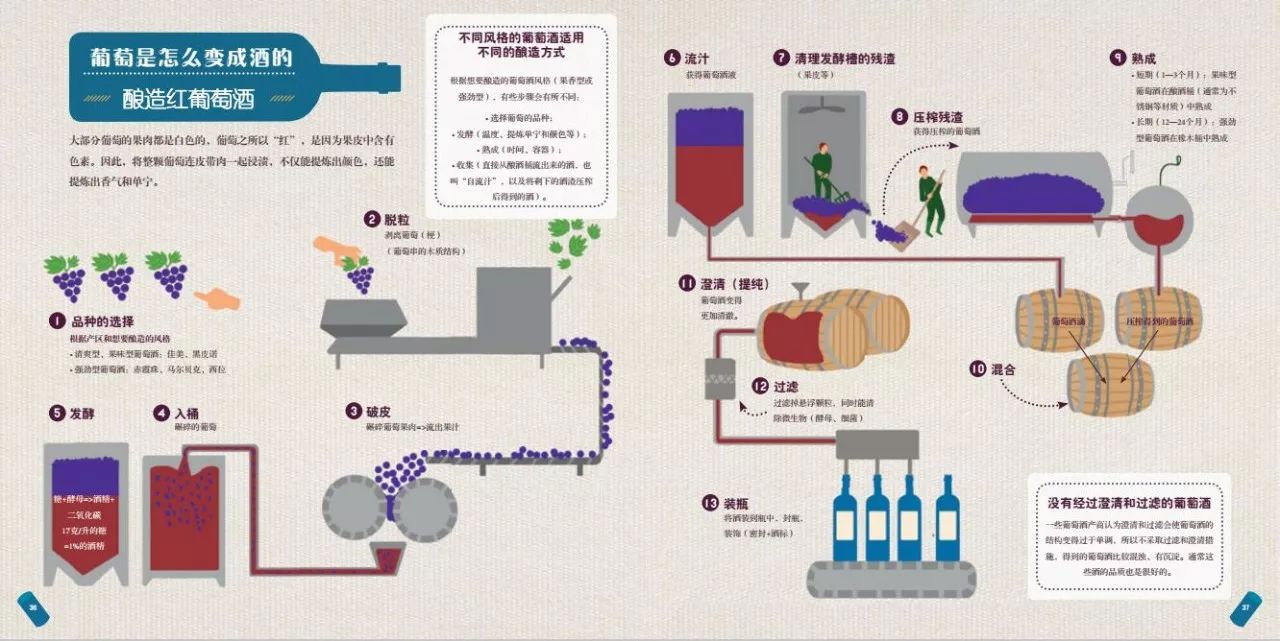 葡萄品种的选择 发酵(温度,提炼单宁和颜色等 熟成(时间,容器 收集