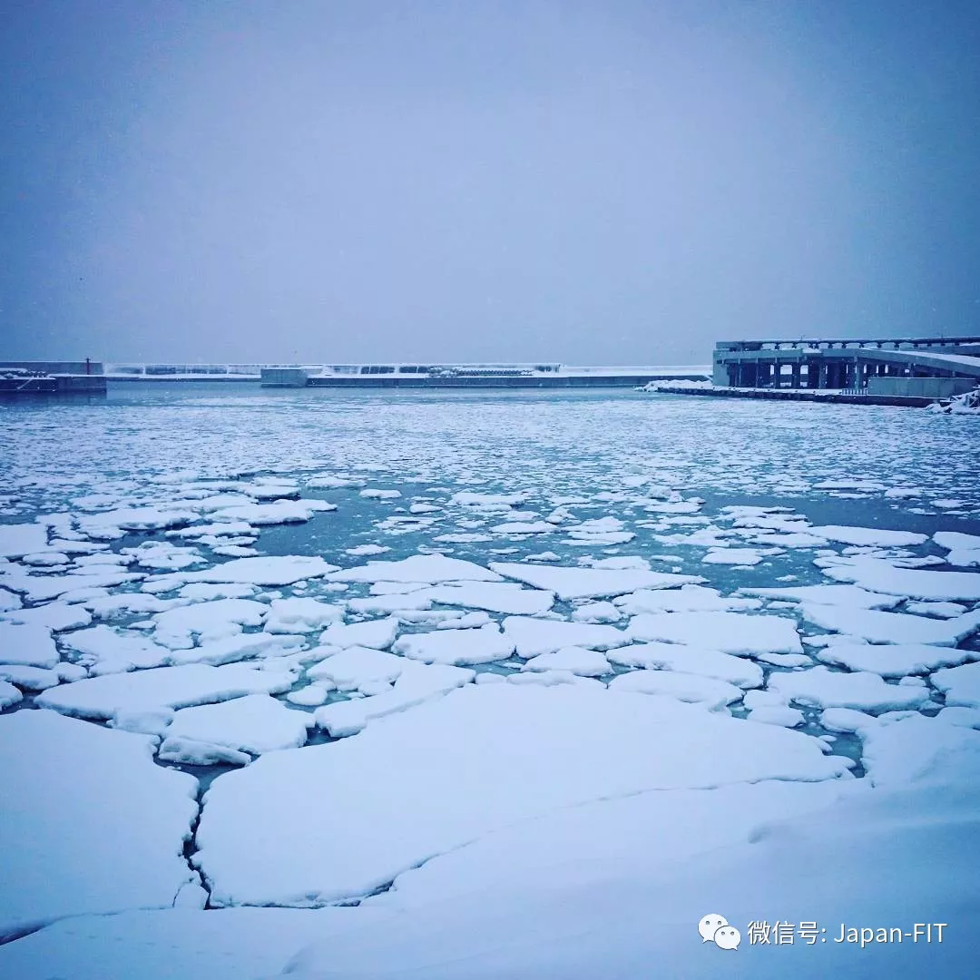 北海道冬季旅游都可以这么玩了你还停留在只是看看雪景