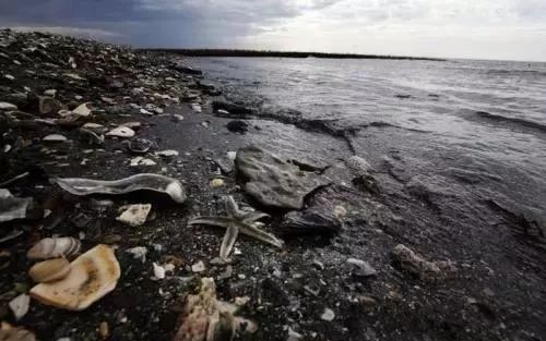 明辉说油史上最严重的油轮海洋石油污染阿莫科61卡迪兹事件