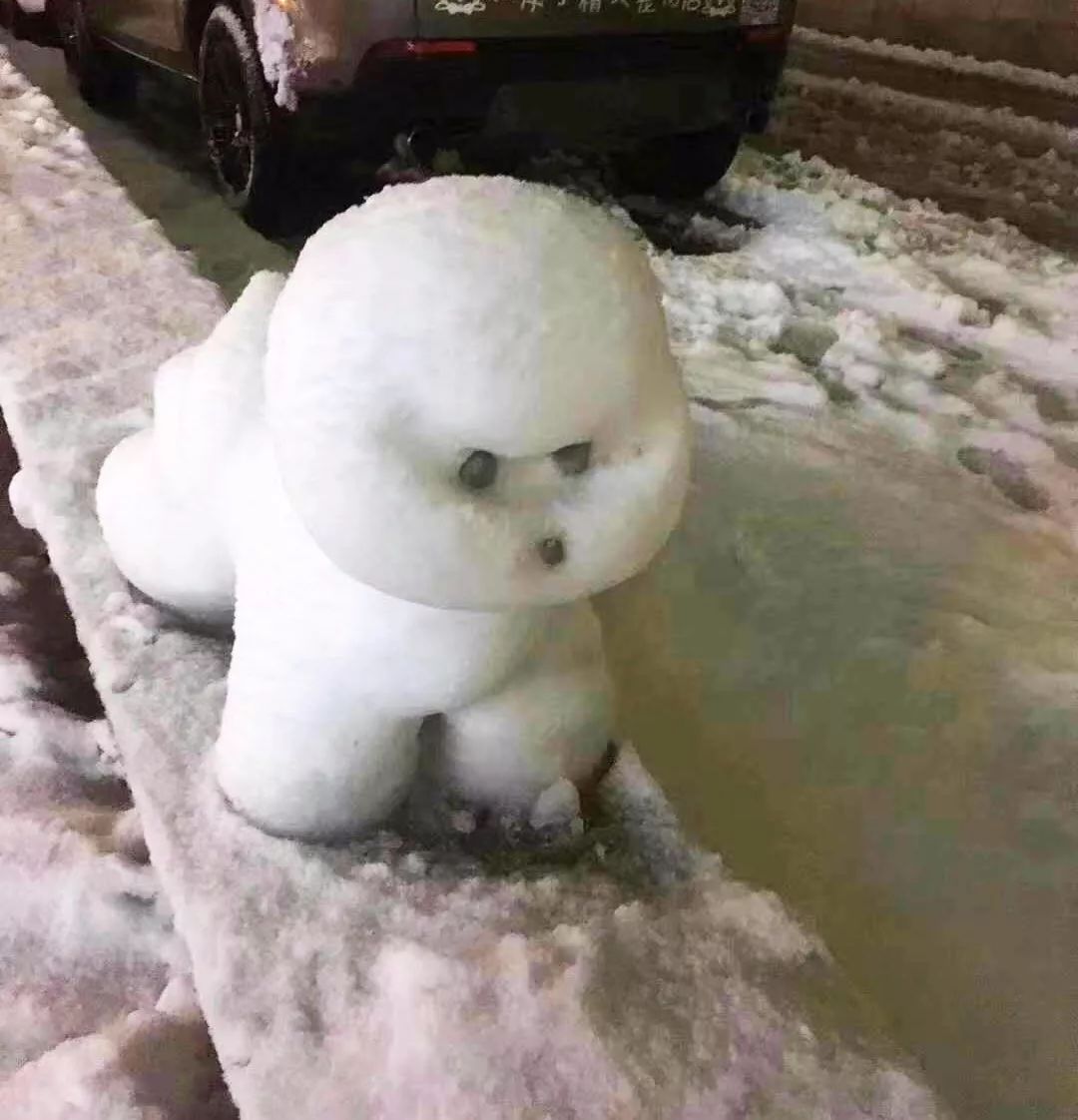 能把雪球搓成黑色,也挺有本事的@刘炼:这是和爷爷一起堆的雪人熊猫