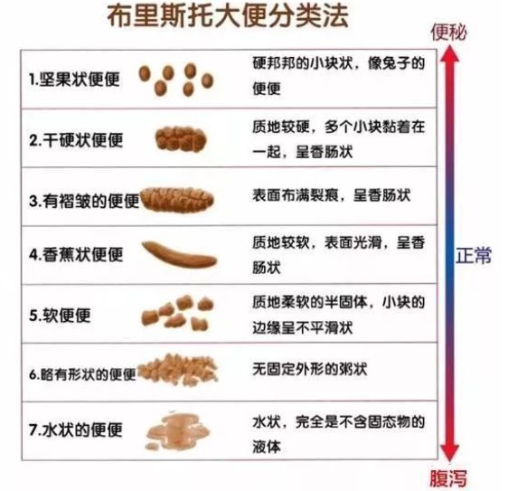 什么样的大便才是正常的?专业描述是这样说的,快来对照!