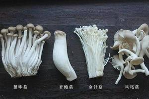 【材料】:蟹味菇 1把,杏鲍菇 1个,金针菇 1把,凤尾菇 1大把,姜 3片