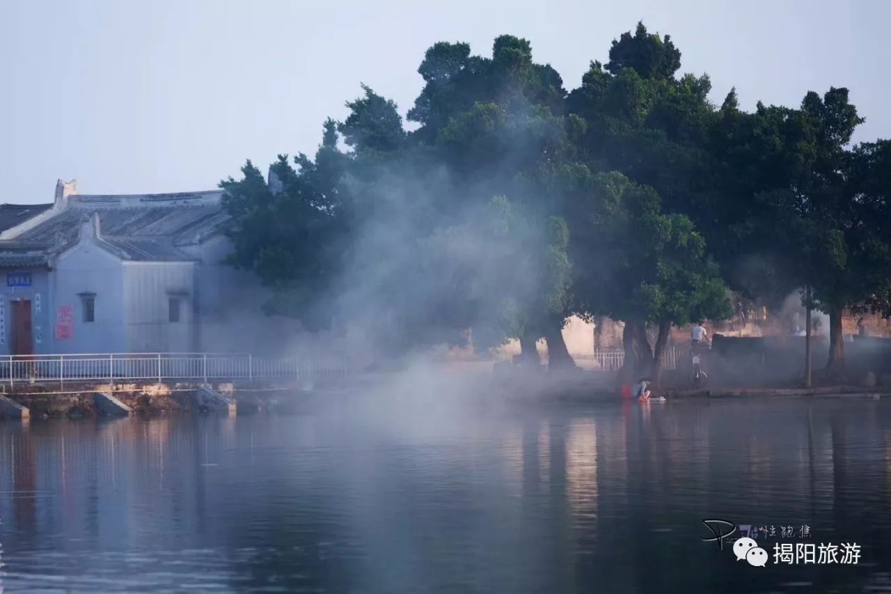 潮汕三市旅行社老总齐聚普宁乌镇·南溪水乡!