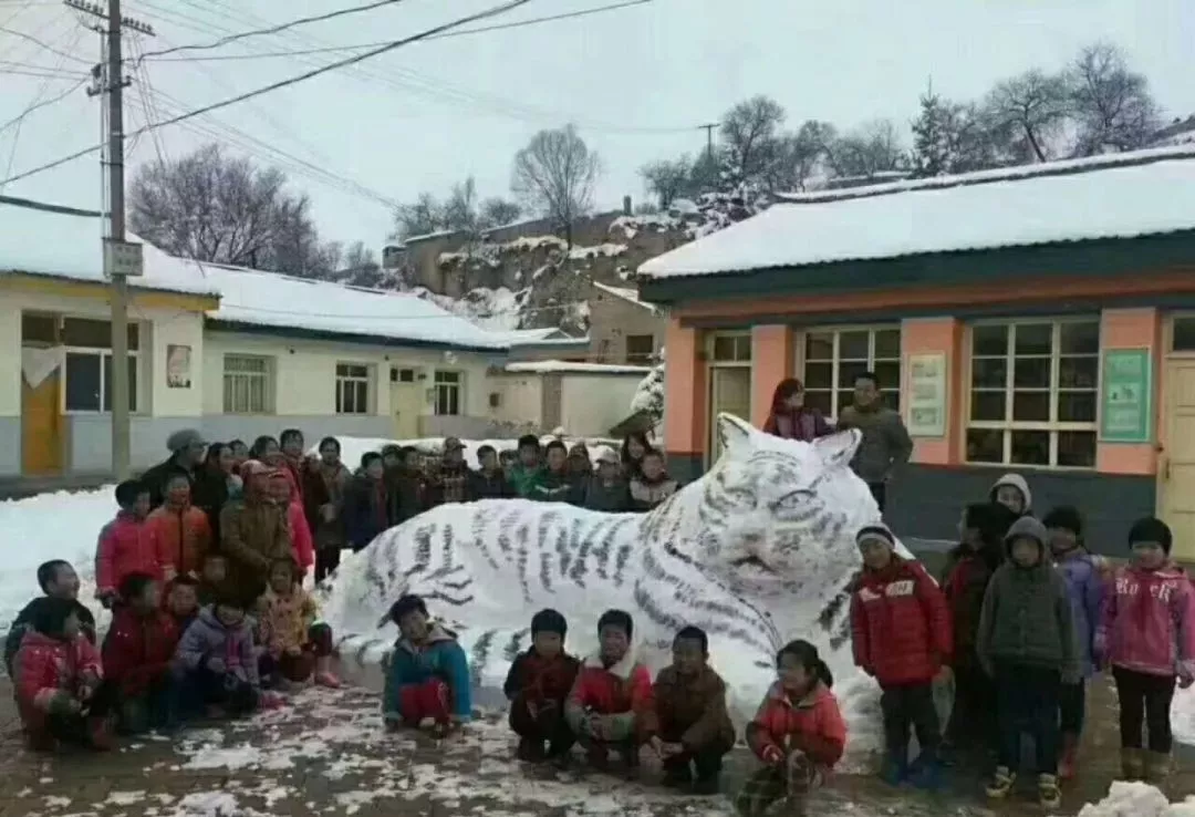 堆雪人我只服平凉人的想象力