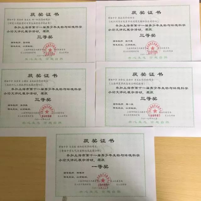 为同学们提供了丰富的资源及广阔的平台,为研究性学习创造了优质的