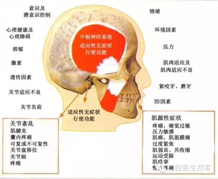 颞下颌关节紊乱病的诊治原则