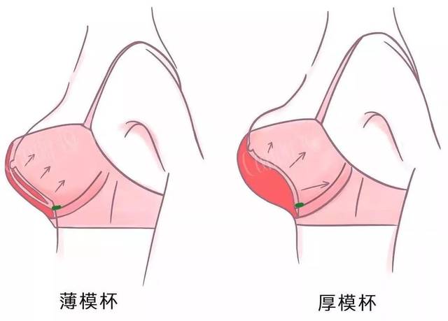 聚拢型内衣当然能聚拢胸部,但就像是长期戴假睫毛不会让真睫毛变长