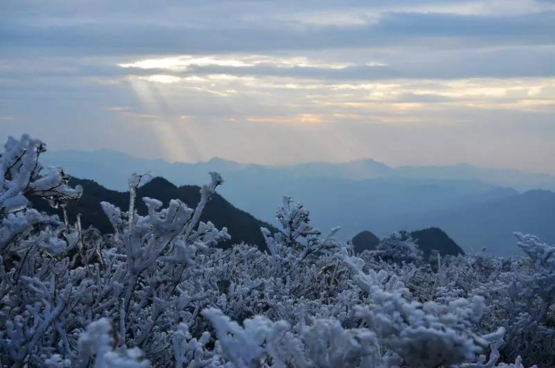 泉州下雪了!九仙山迎来今年首场雾凇!