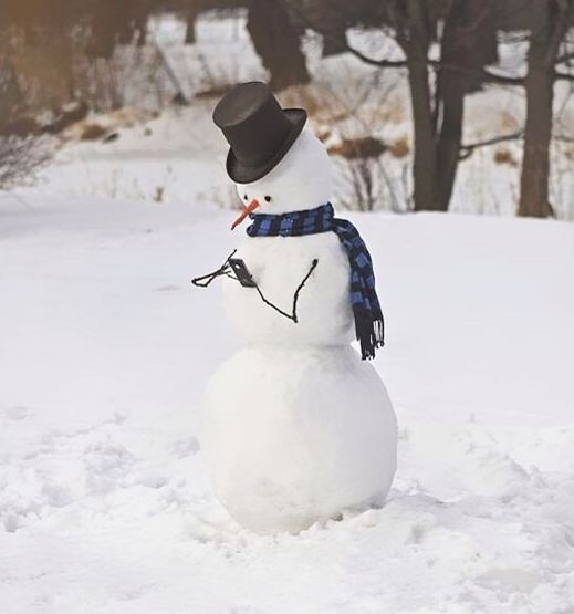 图上下雪还有一个雪人猜一成语_一幅简笔画猜一个成语