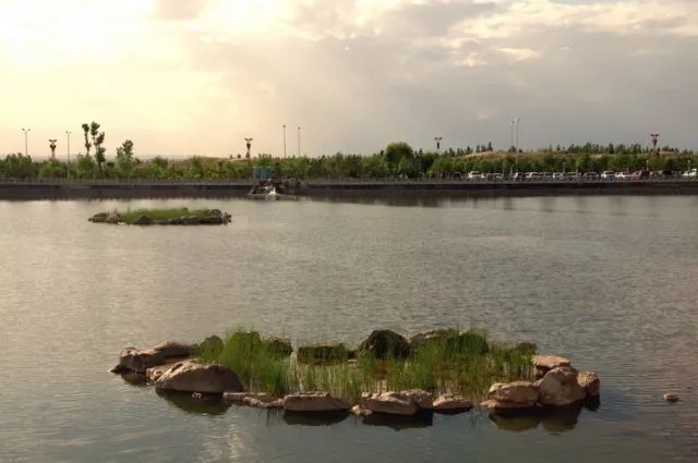 图说景城公园银川滨河新区的天然生态氧吧