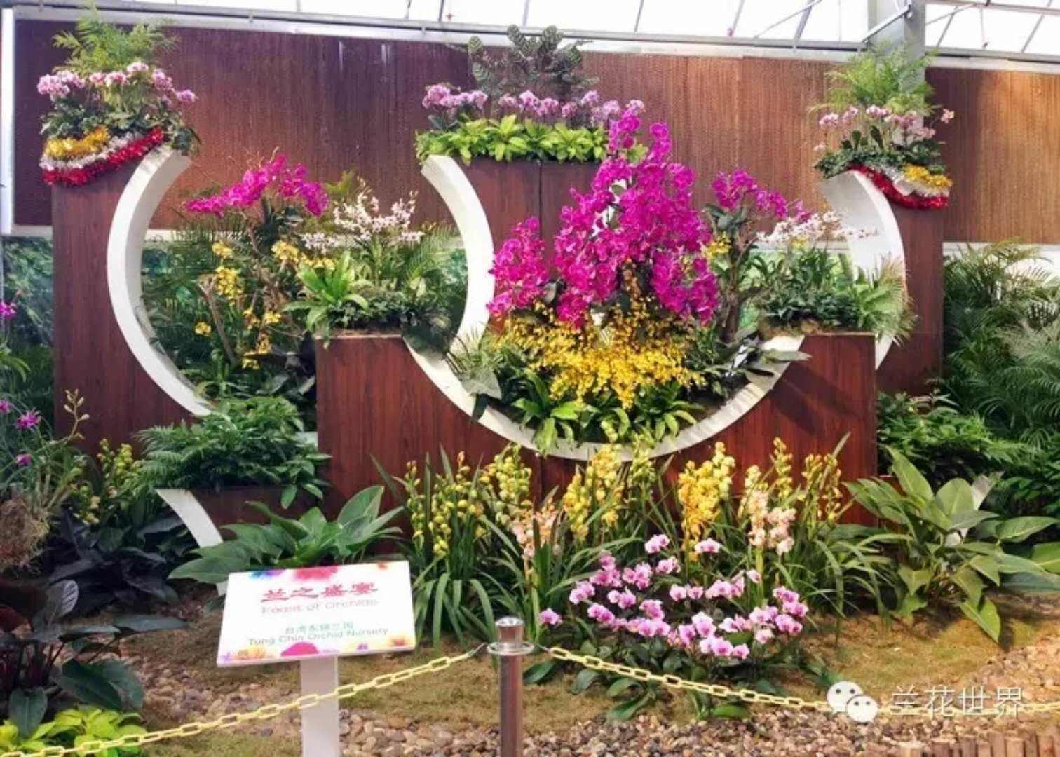 来自台湾的展商营造的兰花景观