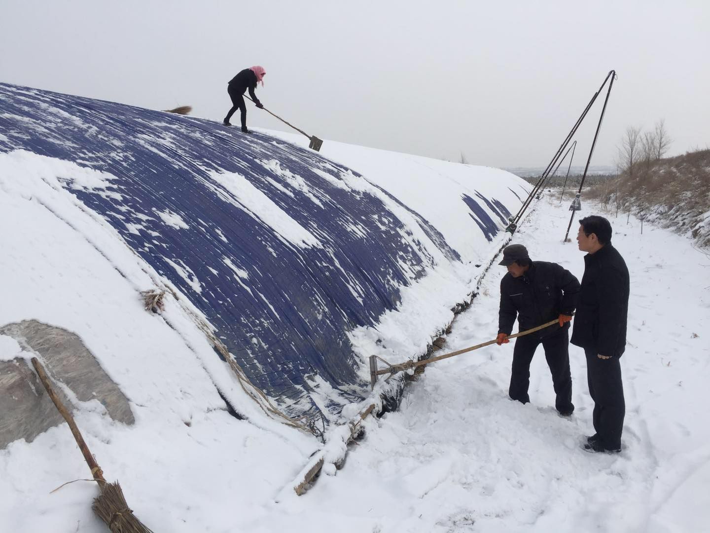 【督查】固原市农牧局副局长杨自远带领技术人员督查指导雪后设施农业