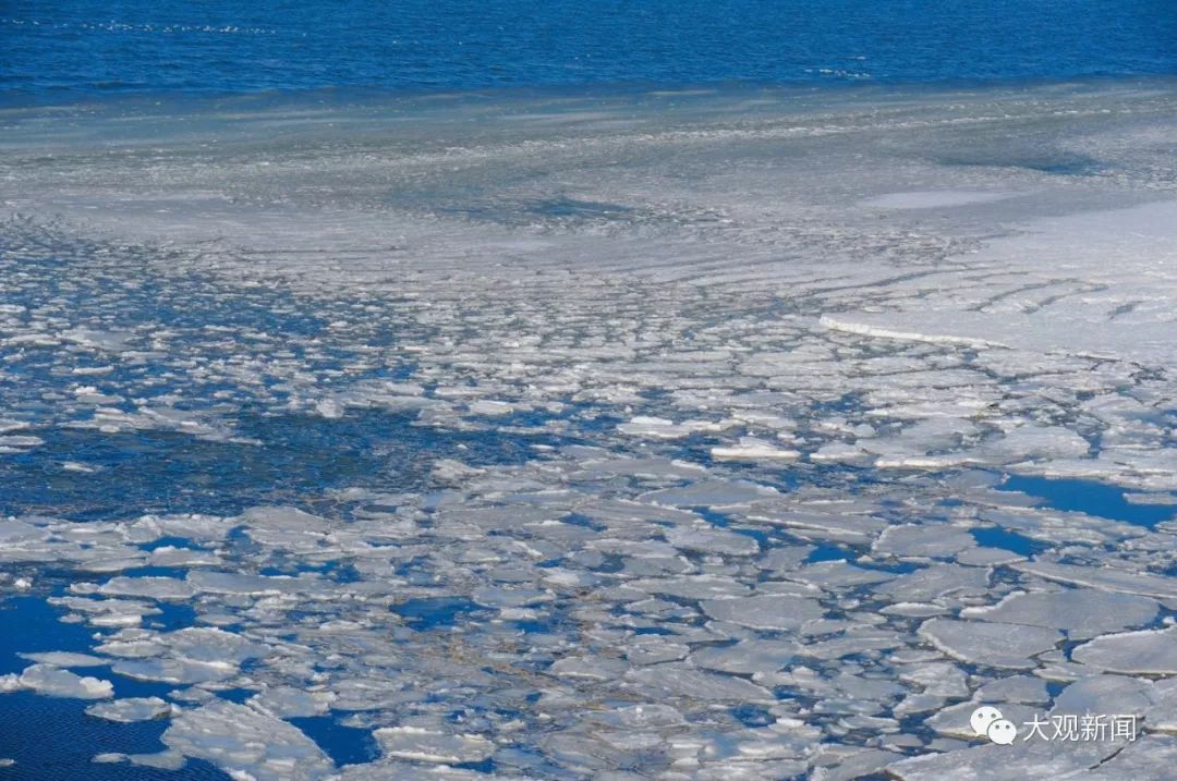 【本市旅游】冰从海上来!大连又现大片极地冰原美景!