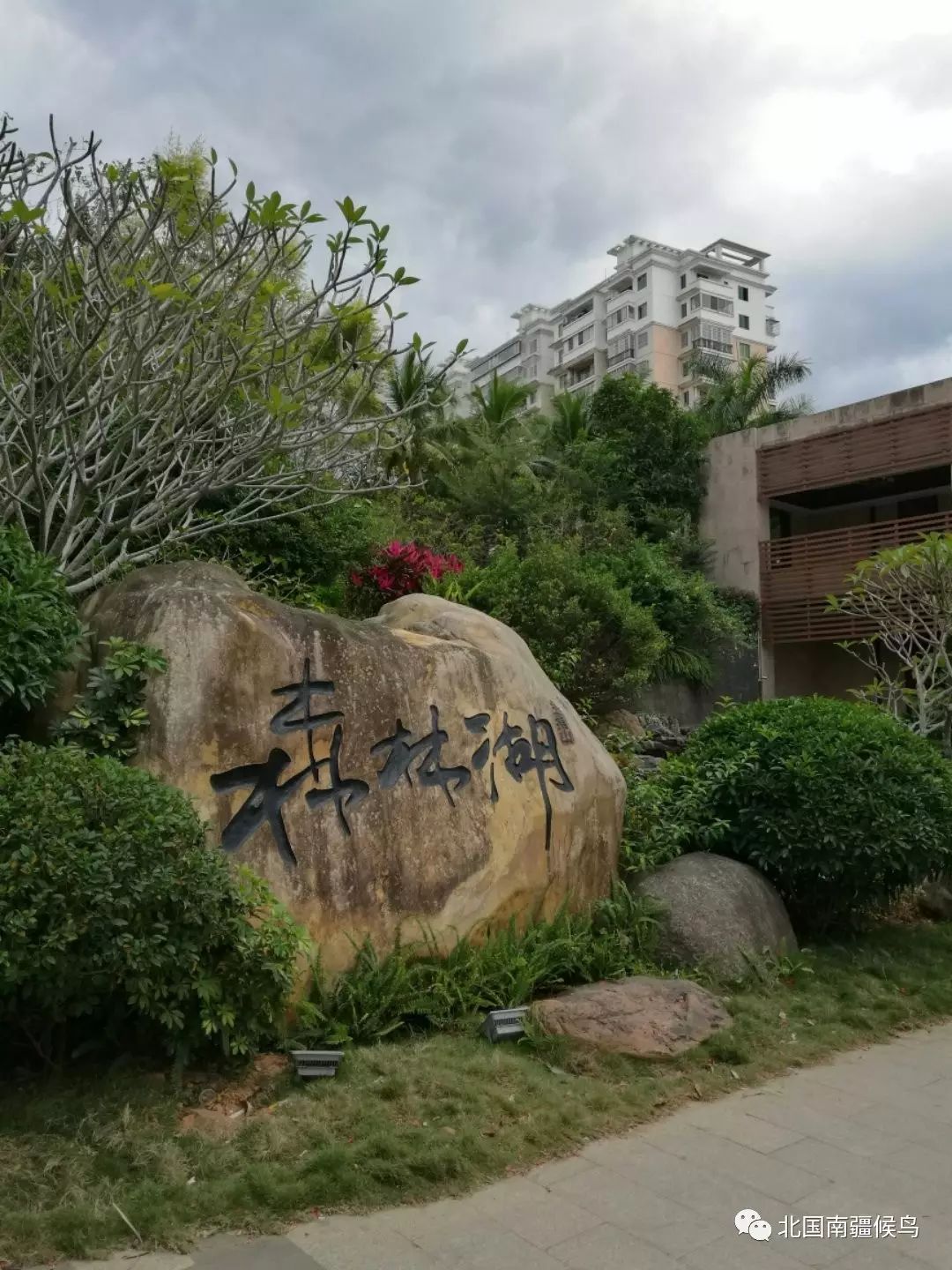 海南五指山发展之路:指北向南,登五指圣山,揽琼州胜景!