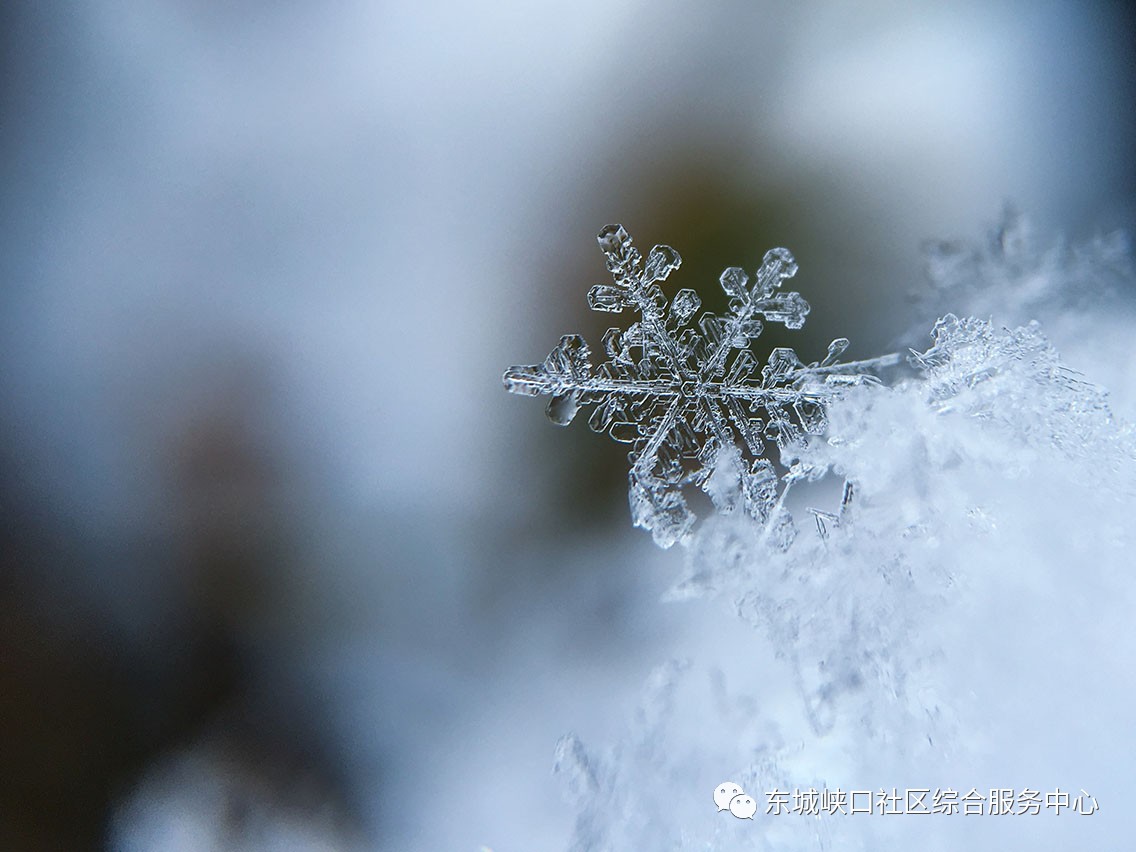 寒流天气,峡口中心提醒您注意添衣保暖