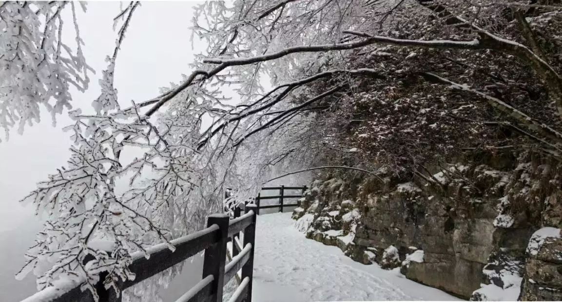 寒风刺骨却很温暖!他们是风雪中最美的风景!