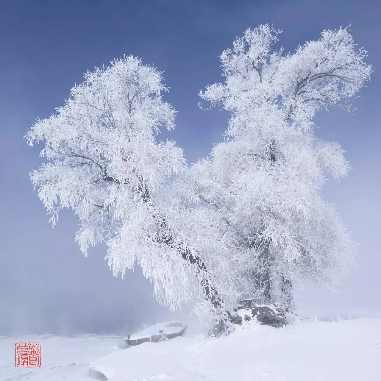 中国最美冬天 | 玩转大东北 吉林雾凇岛 长白山 镜泊湖 雪乡 雪谷