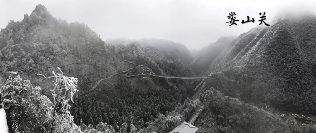 娄山关金鼎山雪景美翻天想看雪景抓紧时间周末气温回升