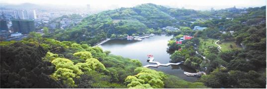 3  盐都植物园(西山公园) "盐都植物园"是以原西山公园改建的, 是集