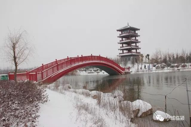 临颍县千亩湖(黄龙湿地公园)雪后景色,雪后更漂亮!