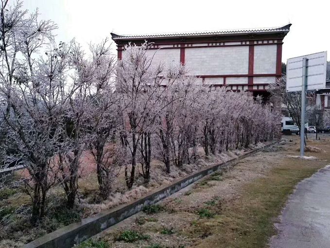 广西玉林人口有多少_振奋人心 经北流至深圳高铁传来消息,这次是.....