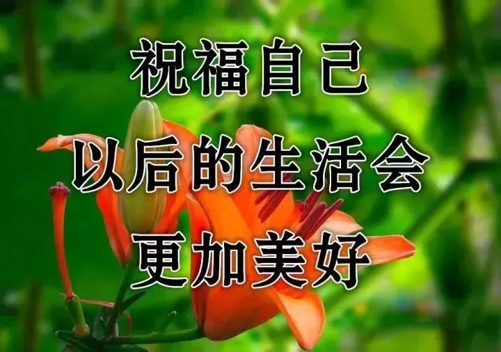 愿你越来越好!